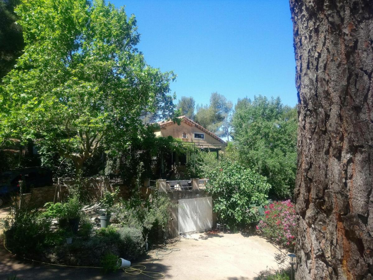 Maison De Charme Avec Piscine Et Jacuzzi Dans Cadre Exceptionnel Proche Marseille Mirabeau المظهر الخارجي الصورة