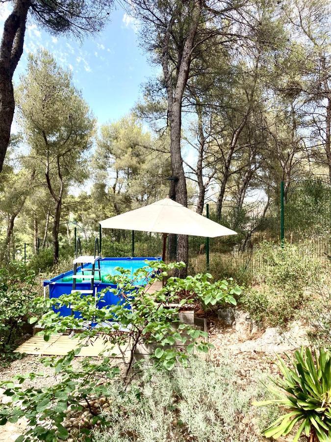Maison De Charme Avec Piscine Et Jacuzzi Dans Cadre Exceptionnel Proche Marseille Mirabeau المظهر الخارجي الصورة